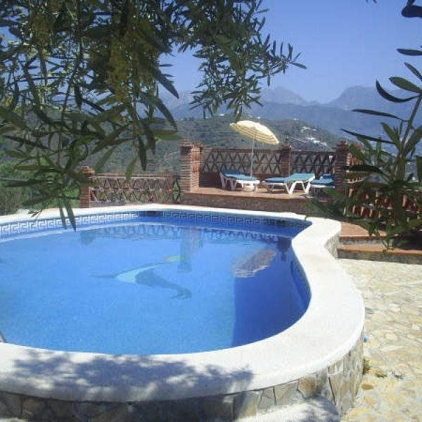 image (12)