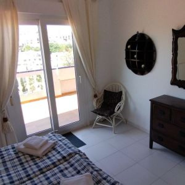 image (15)