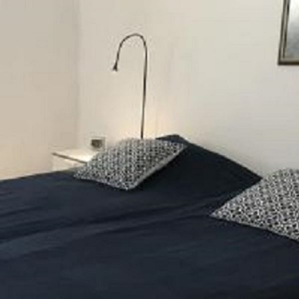 image (15)