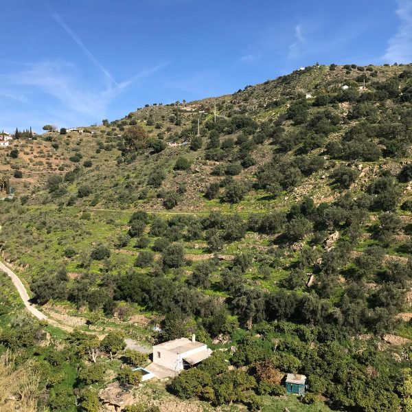 pueblo 10